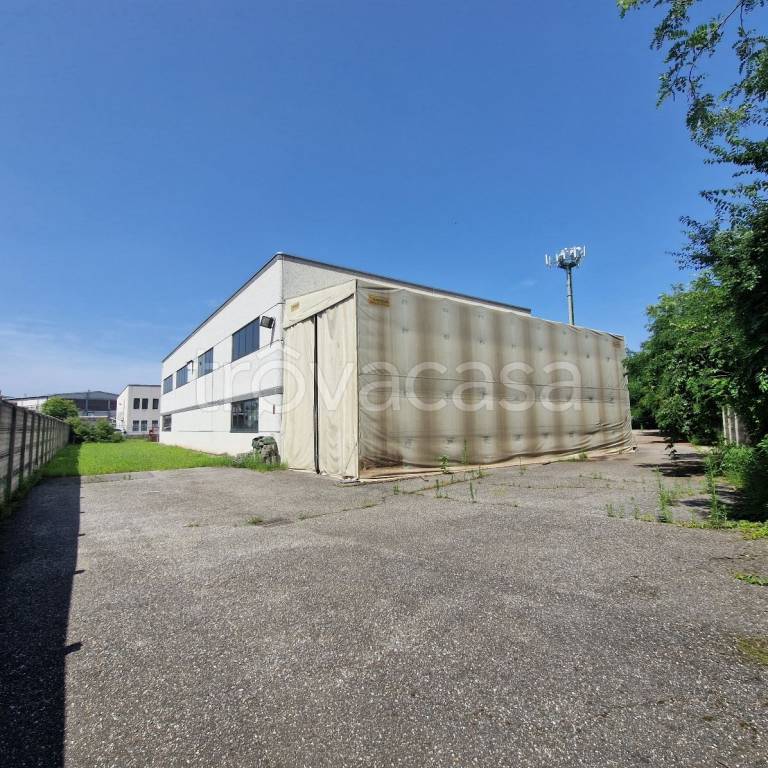 immagine annuncio 3 di 15