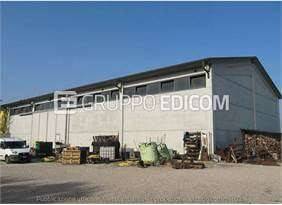 immagine annuncio 6 di 14