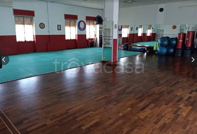 immagine annuncio 6 di 12