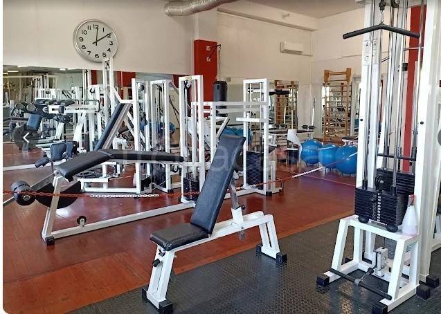 immagine annuncio 7 di 12