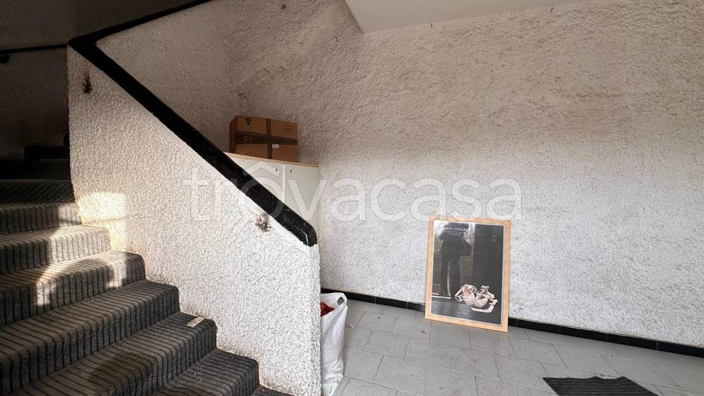 immagine annuncio 9 di 12