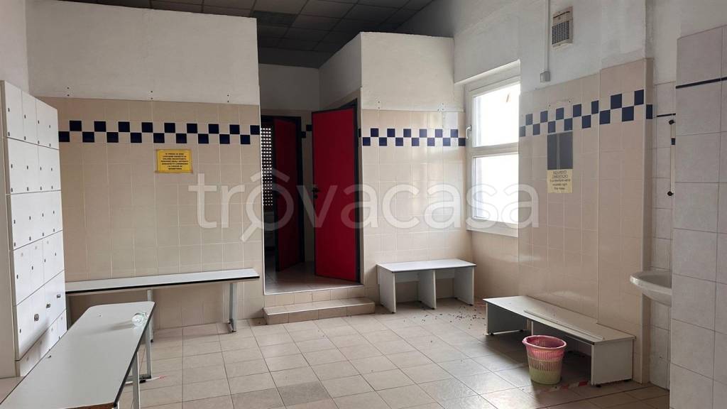 immagine annuncio 10 di 12