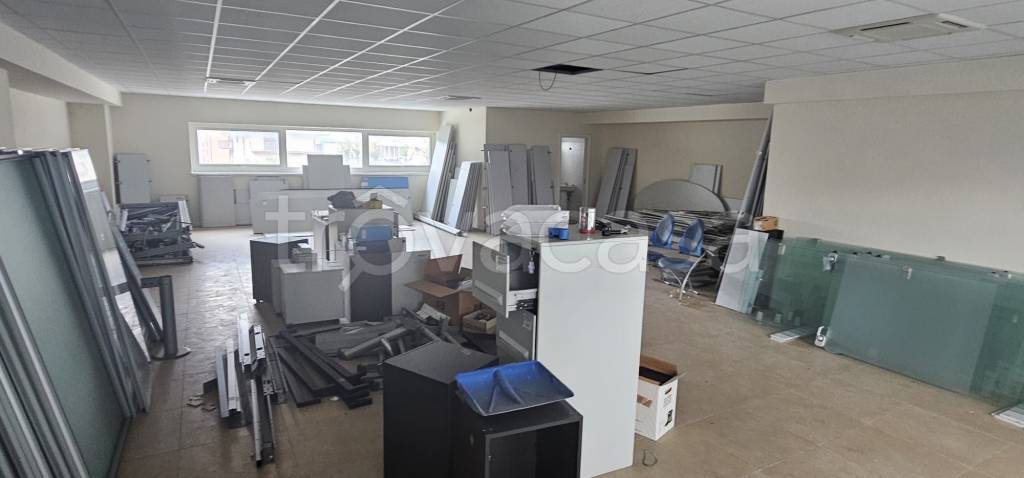 immagine annuncio 1 di 7