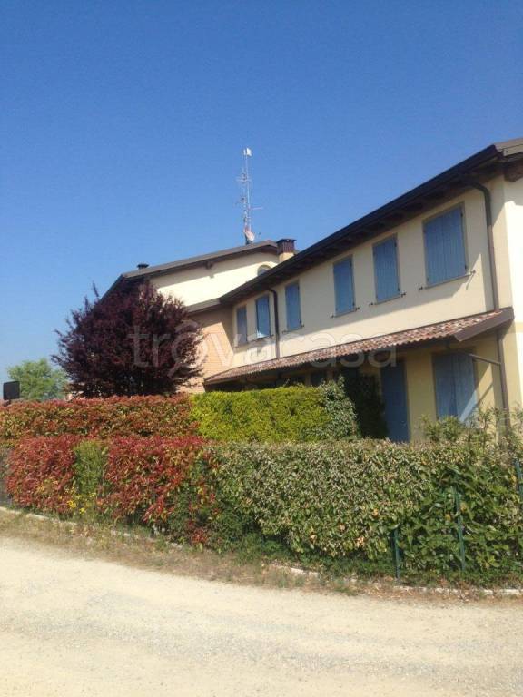 immagine annuncio 5 di 8