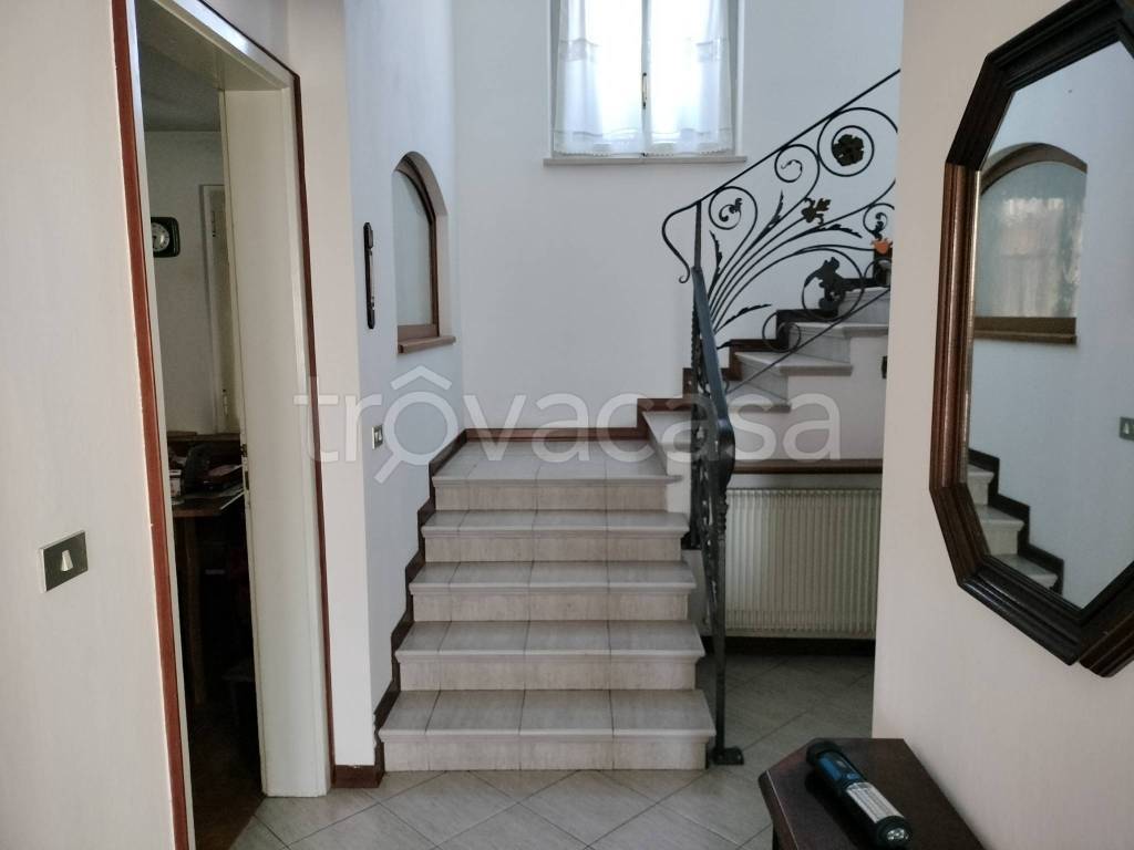 immagine annuncio 2 di 12