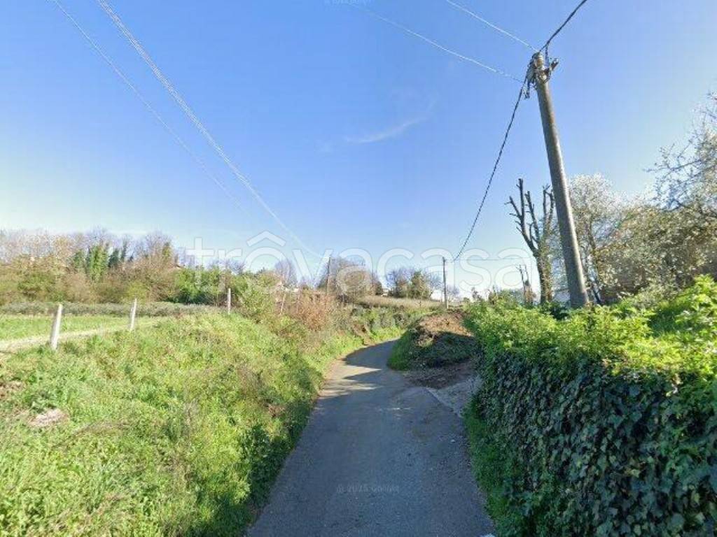 immagine annuncio 3 di 7