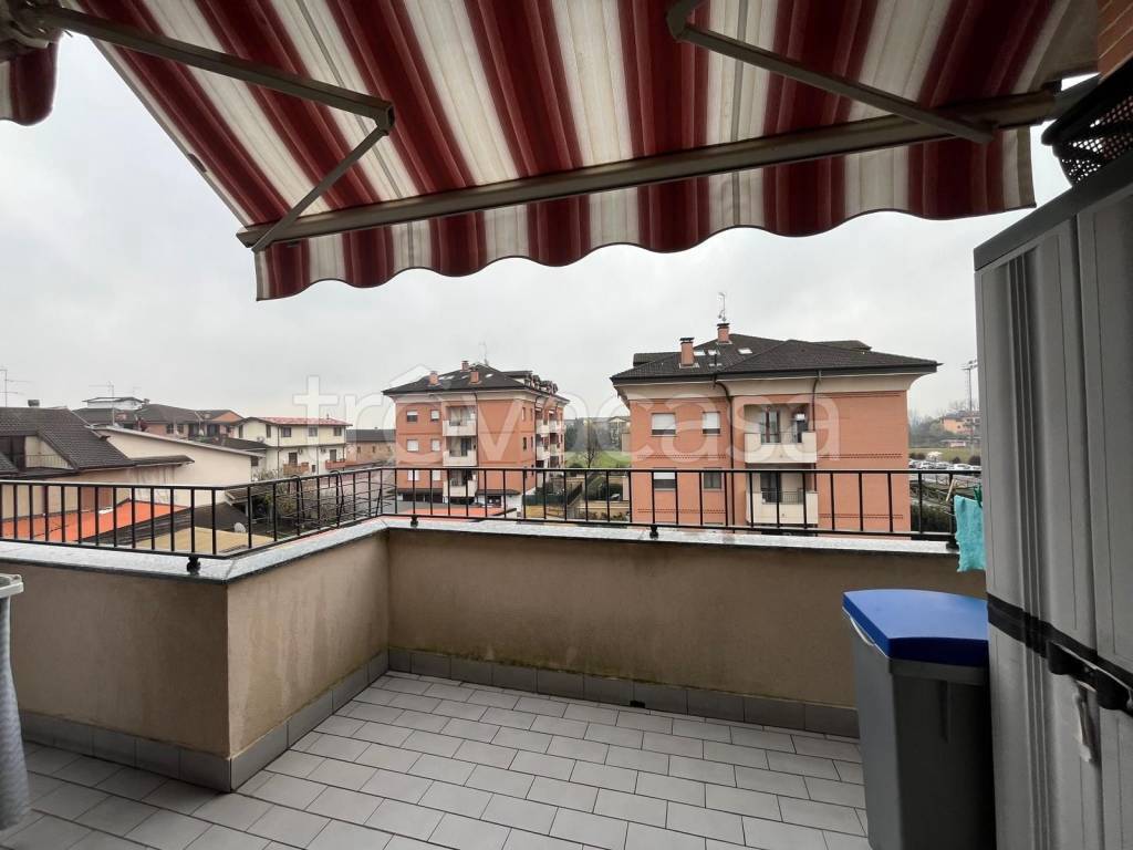 immagine annuncio 12 di 15