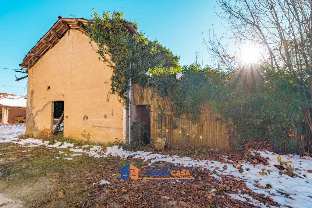 immagine annuncio 12 di 15