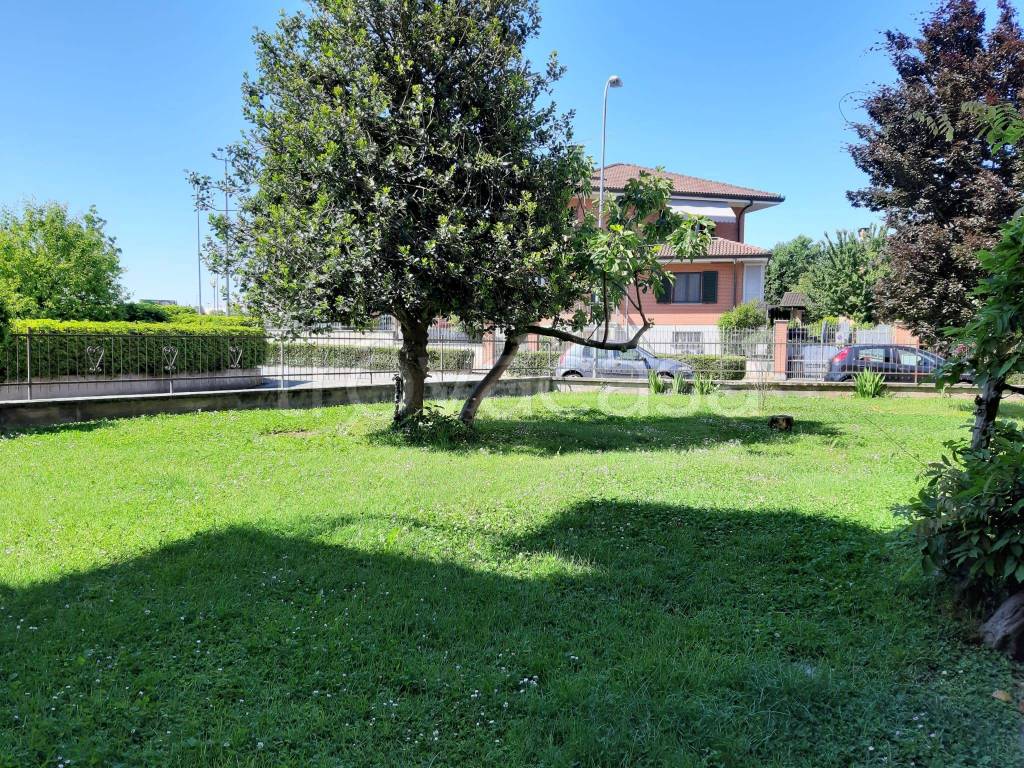 immagine annuncio 11 di 15