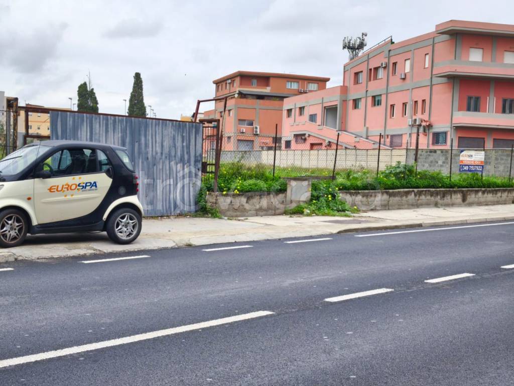 immagine annuncio 1 di 12