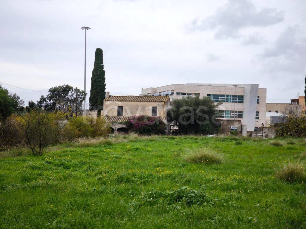 immagine annuncio 2 di 12