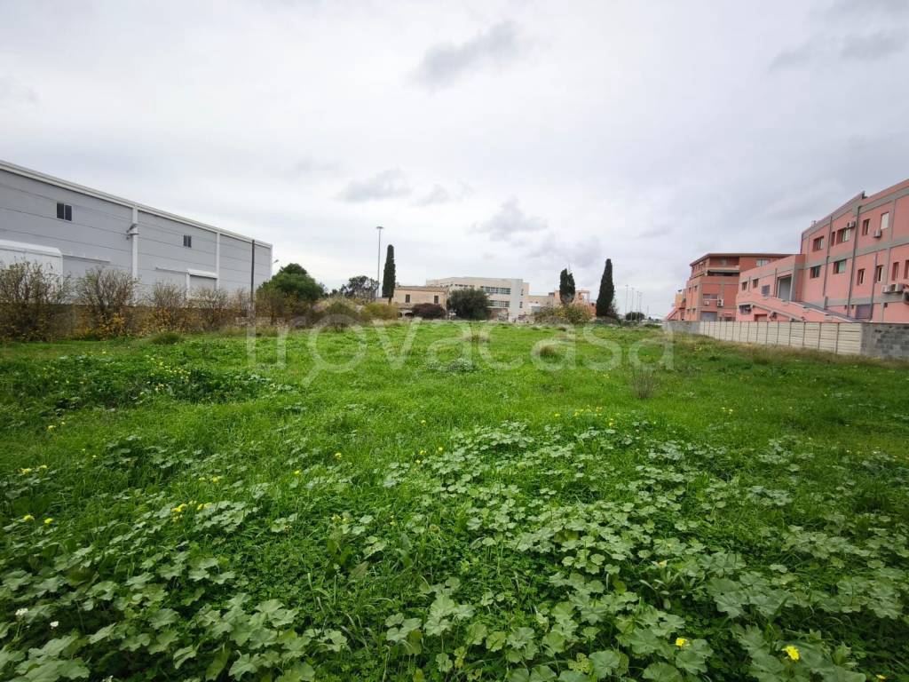 immagine annuncio 4 di 12