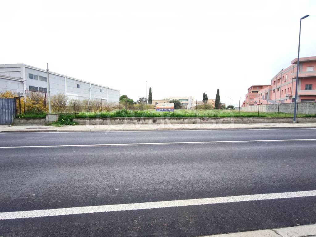 immagine annuncio 5 di 12