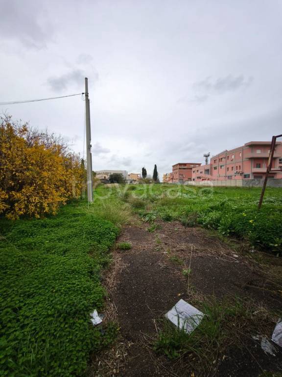 immagine annuncio 7 di 12