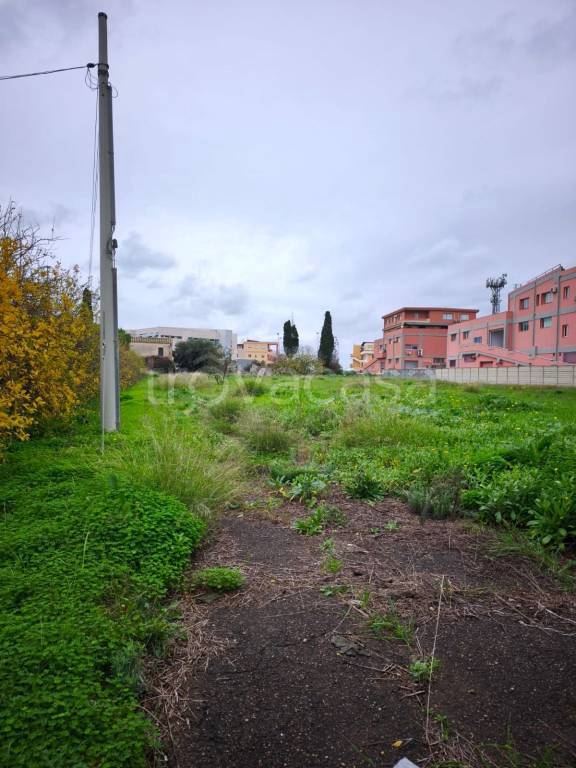 immagine annuncio 9 di 12