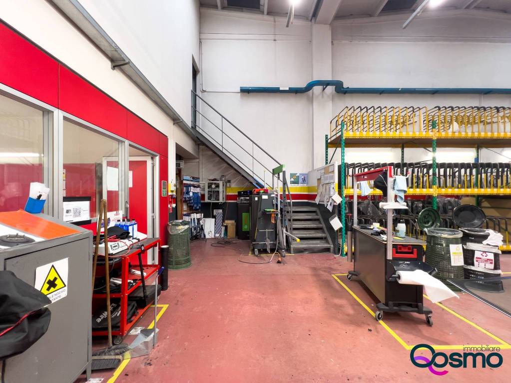 immagine annuncio 12 di 15