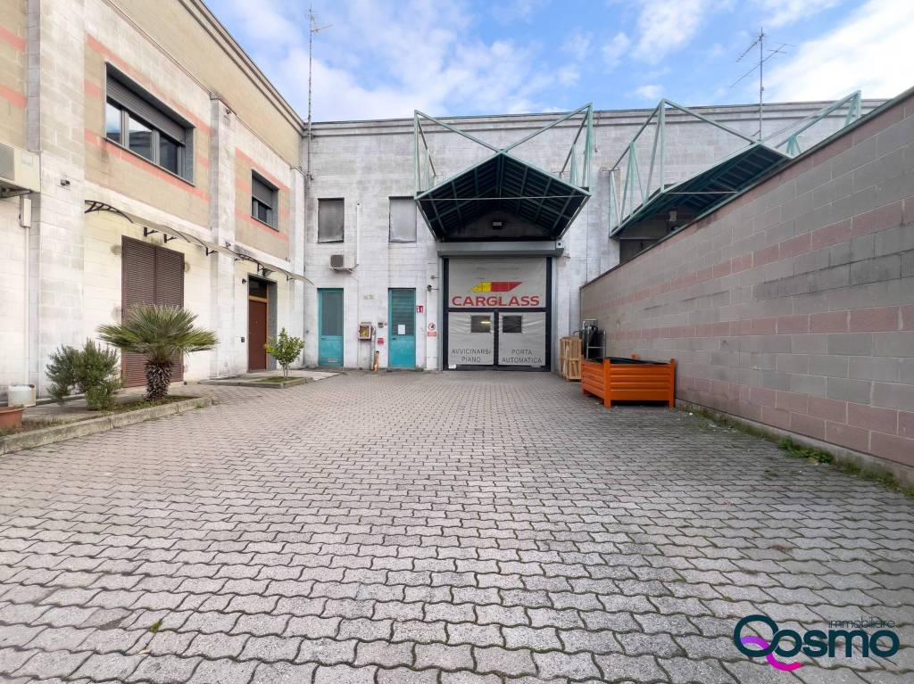 immagine annuncio 3 di 15