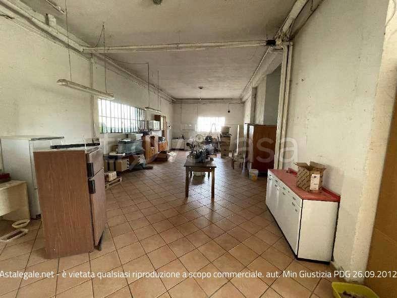 immagine annuncio 4 di 9