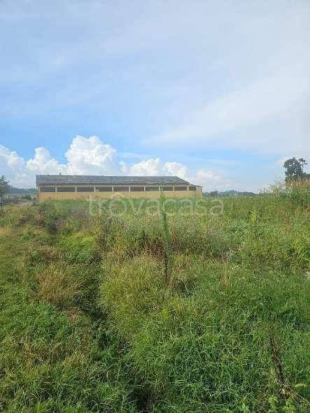 immagine annuncio 7 di 9