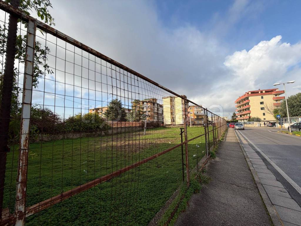 immagine annuncio 2 di 4