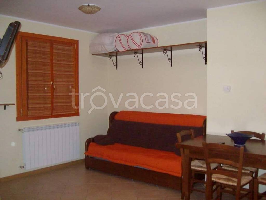 immagine annuncio 5 di 14