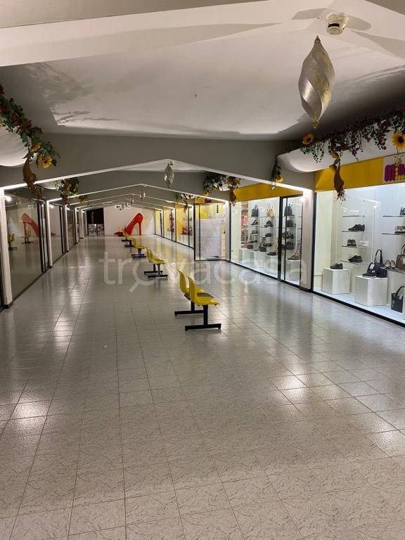 immagine annuncio 9 di 11