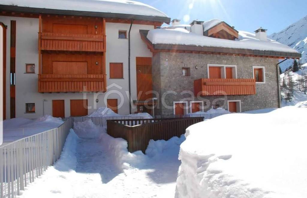 immagine annuncio 7 di 14