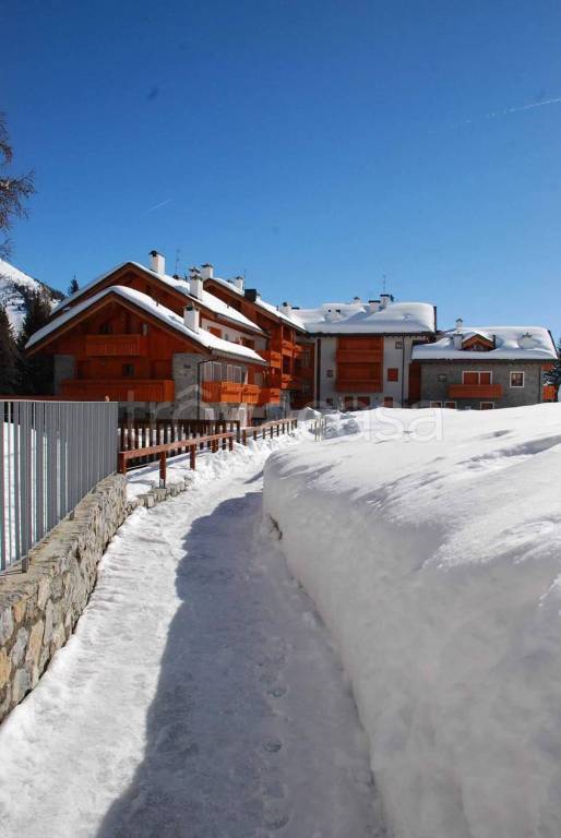 immagine annuncio 9 di 14