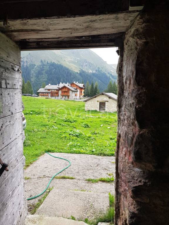 immagine annuncio 12 di 14