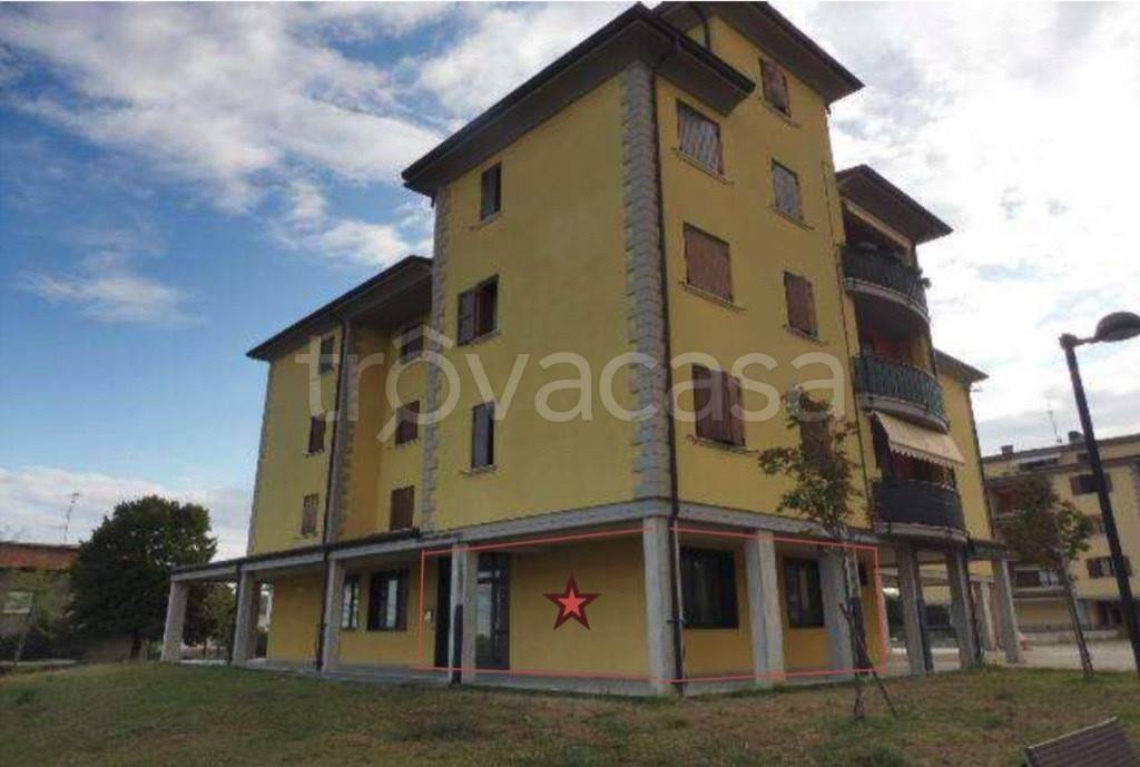 immagine annuncio 6 di 14