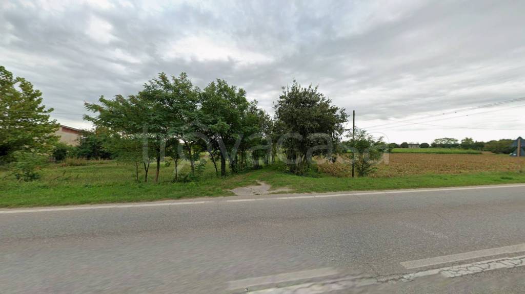 immagine annuncio 4 di 7