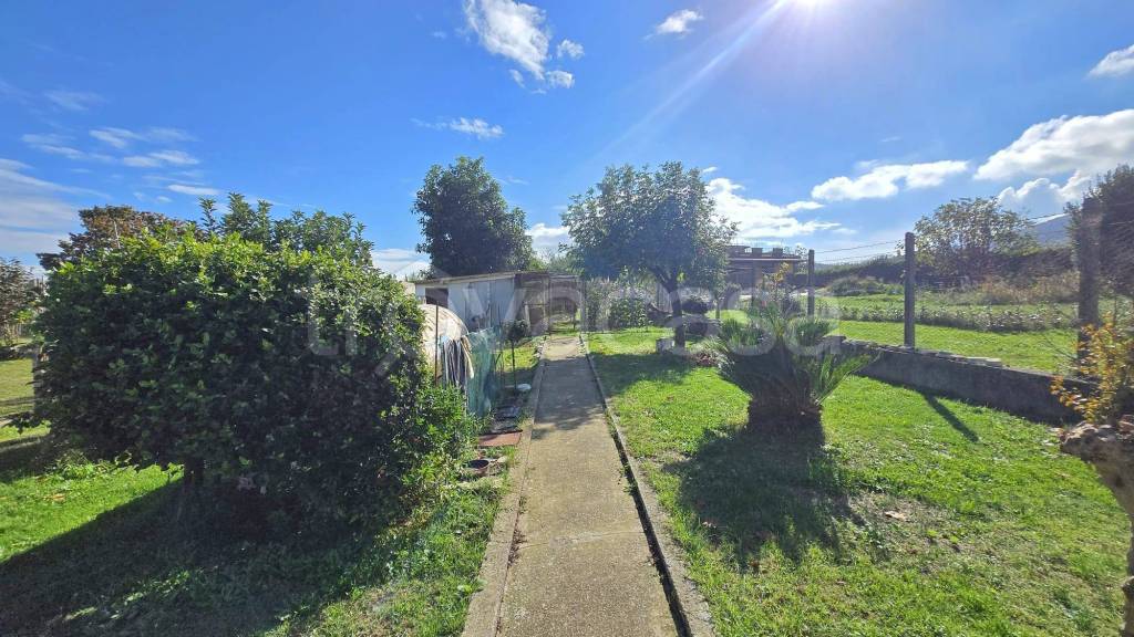 immagine annuncio 8 di 14