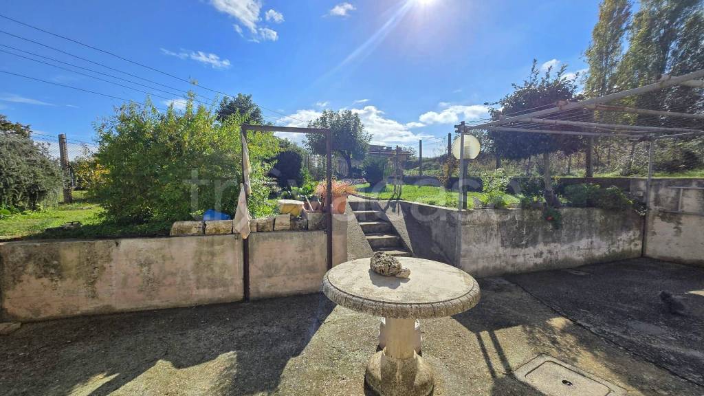 immagine annuncio 9 di 14