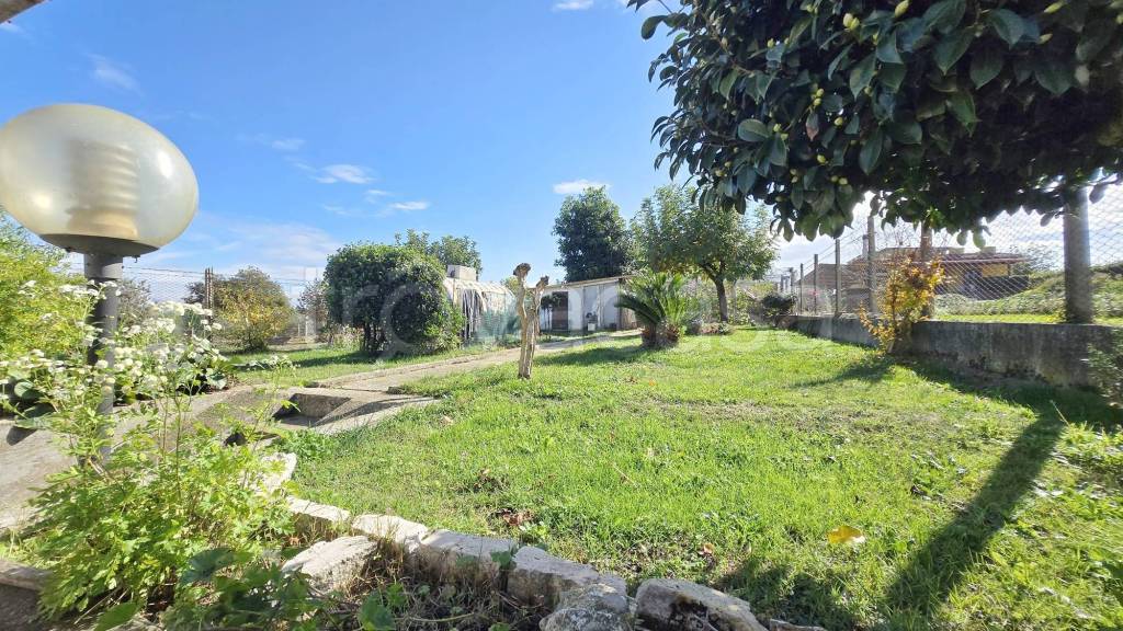 immagine annuncio 10 di 14