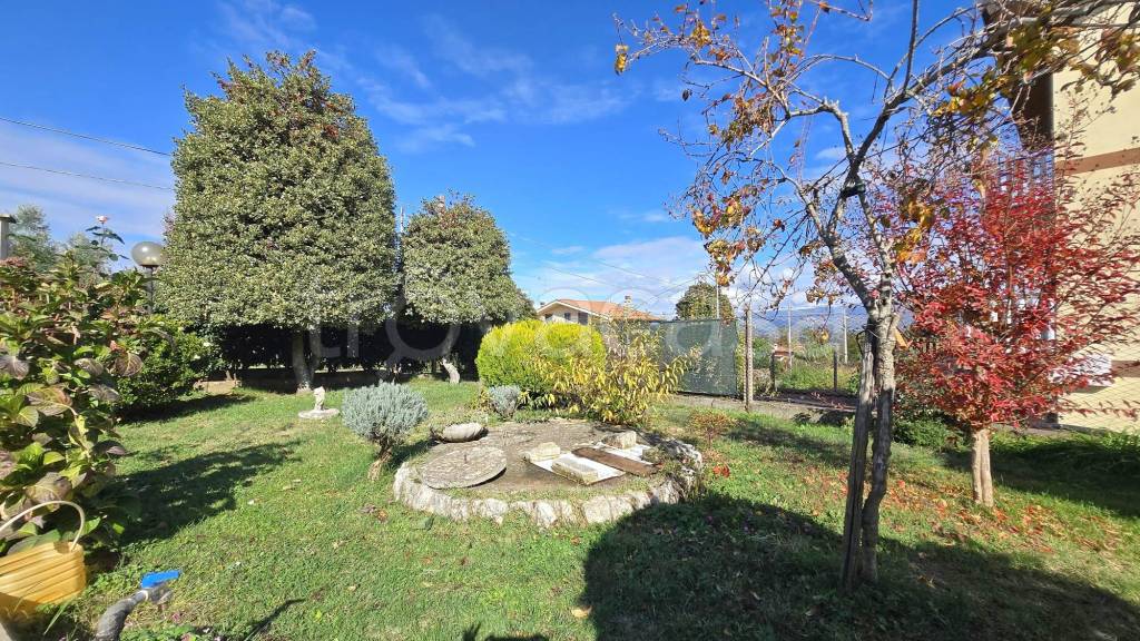 immagine annuncio 11 di 14