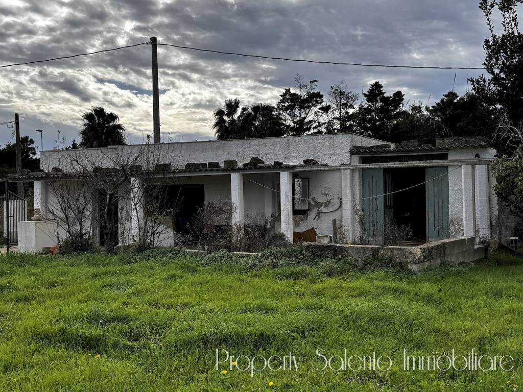 immagine annuncio 14 di 15