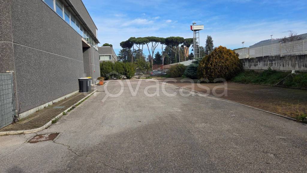 immagine annuncio 2 di 12