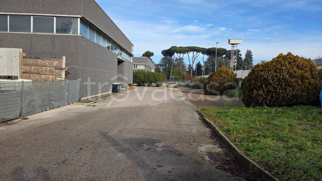 immagine annuncio 3 di 12