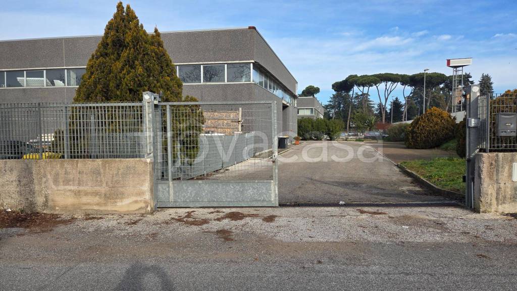 immagine annuncio 4 di 12