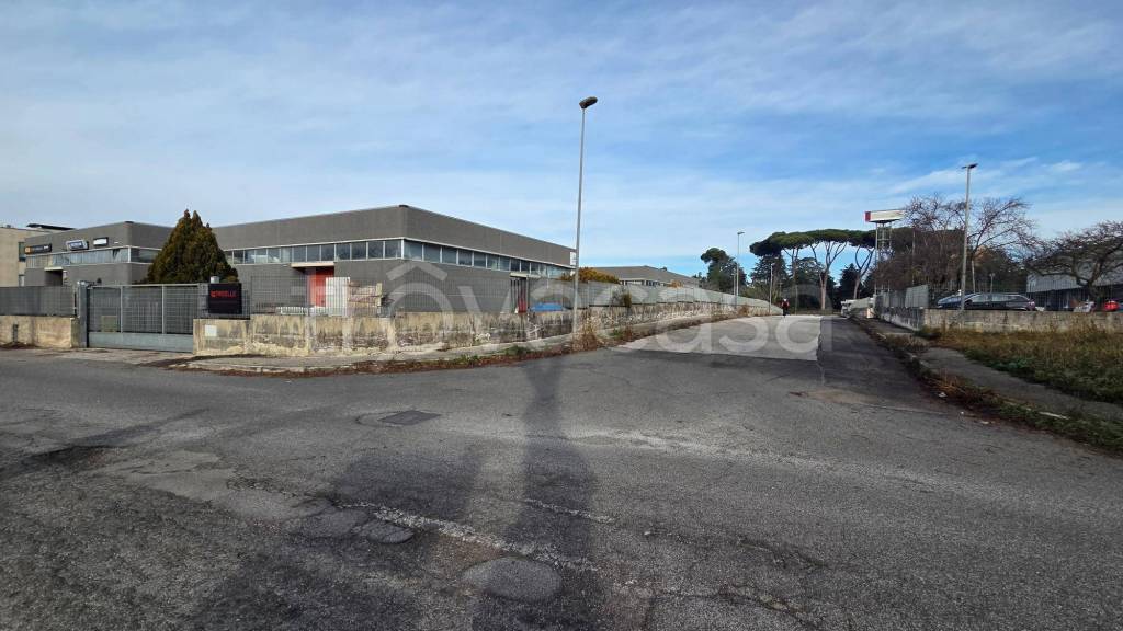 immagine annuncio 5 di 12