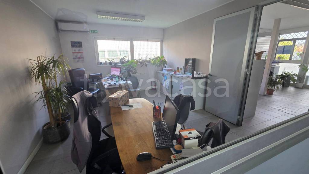 immagine annuncio 6 di 12