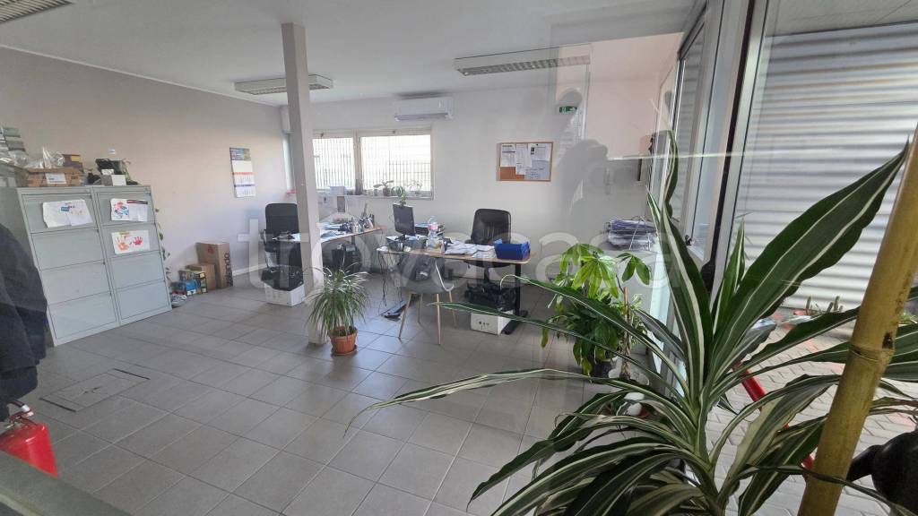 immagine annuncio 7 di 12