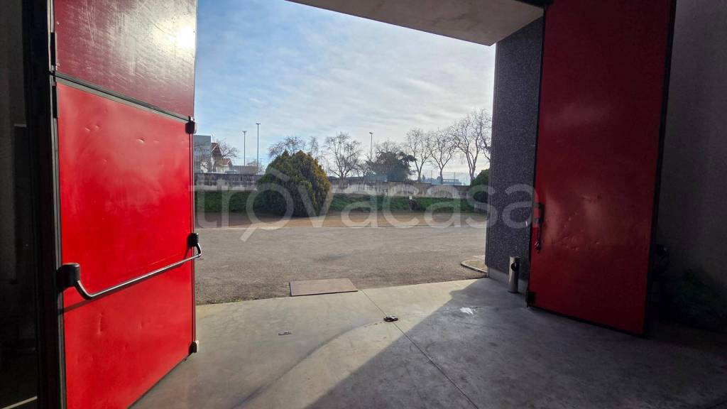 immagine annuncio 8 di 12