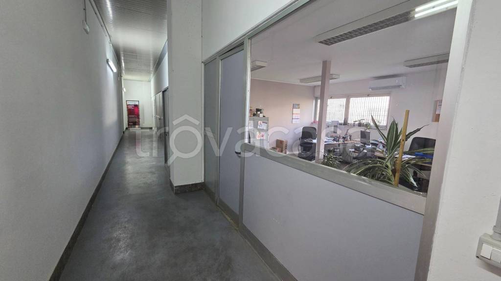 immagine annuncio 9 di 12