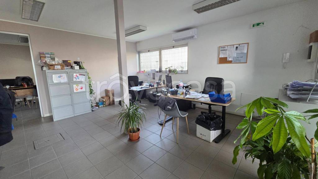 immagine annuncio 10 di 12