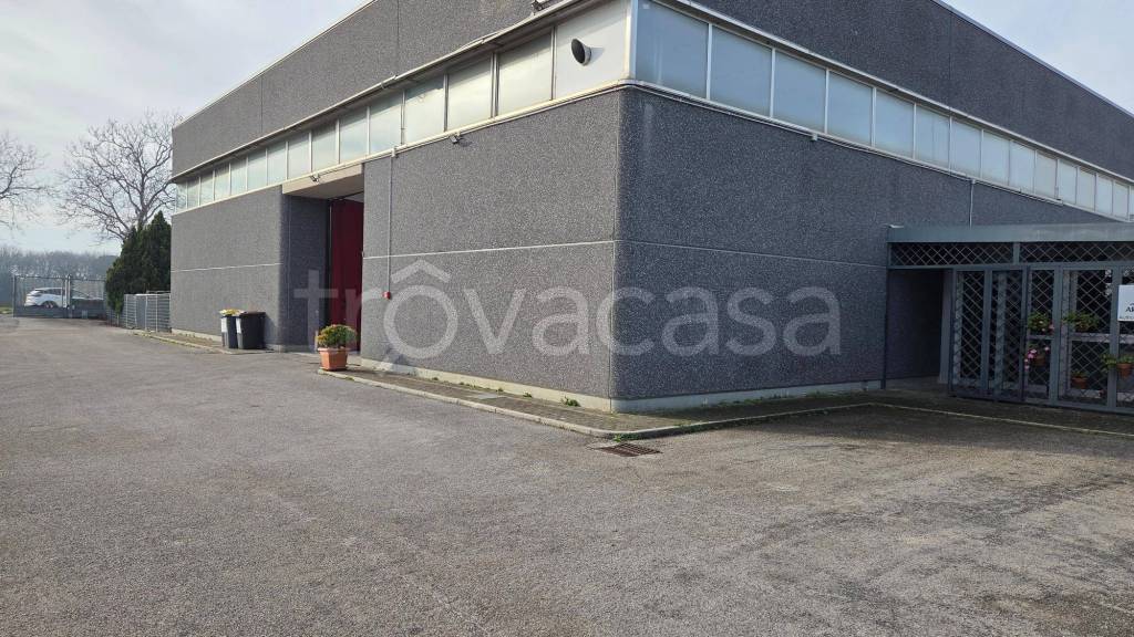 immagine annuncio 11 di 12