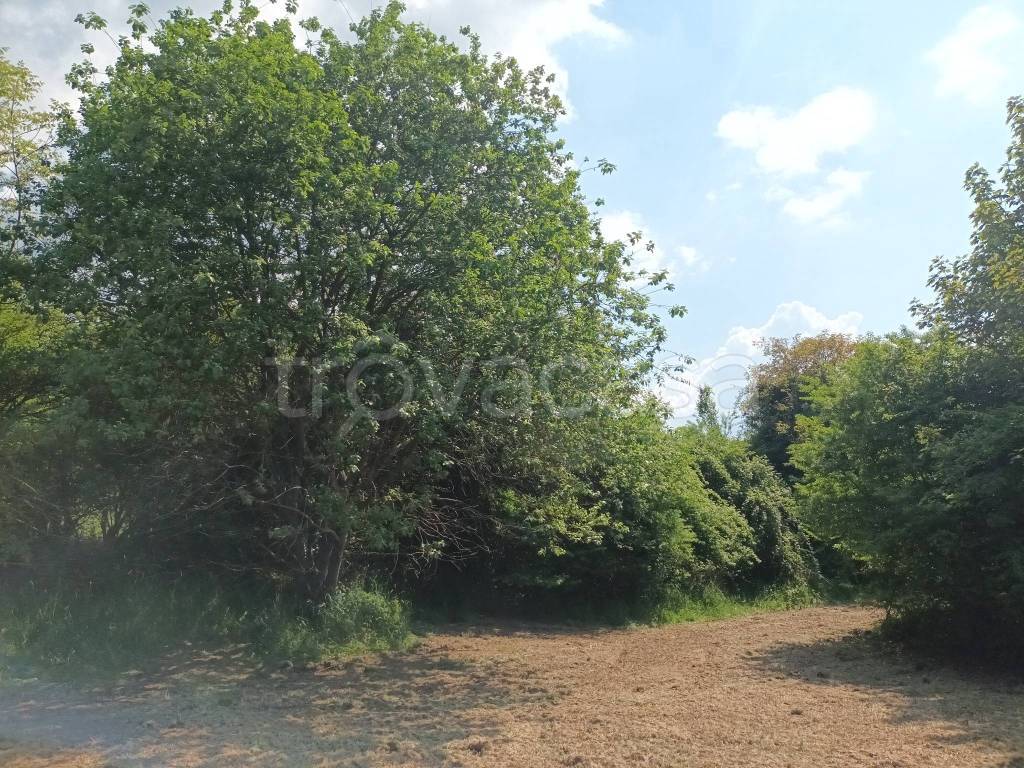 immagine annuncio 5 di 11