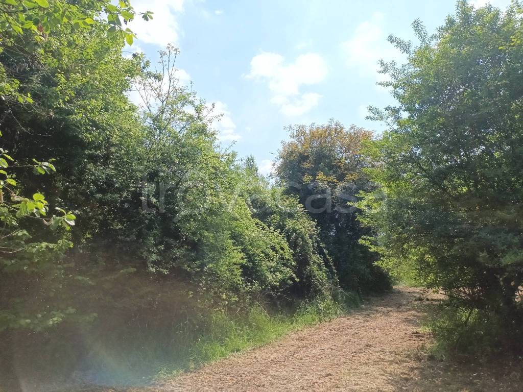 immagine annuncio 6 di 11