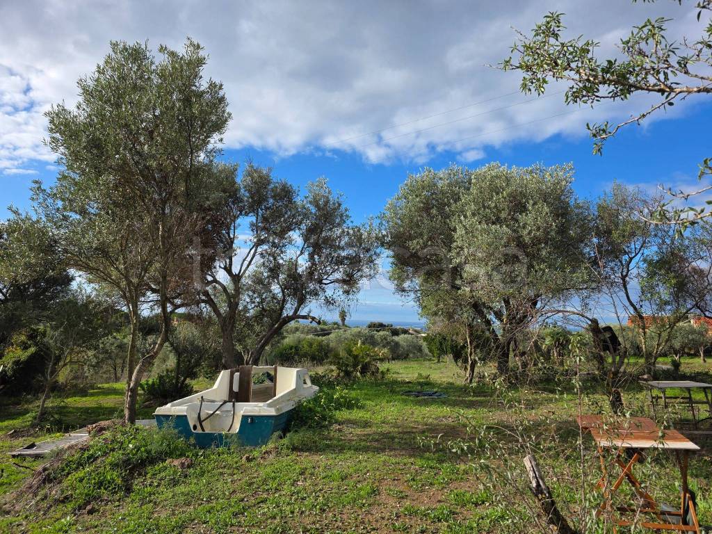 immagine annuncio 1 di 3