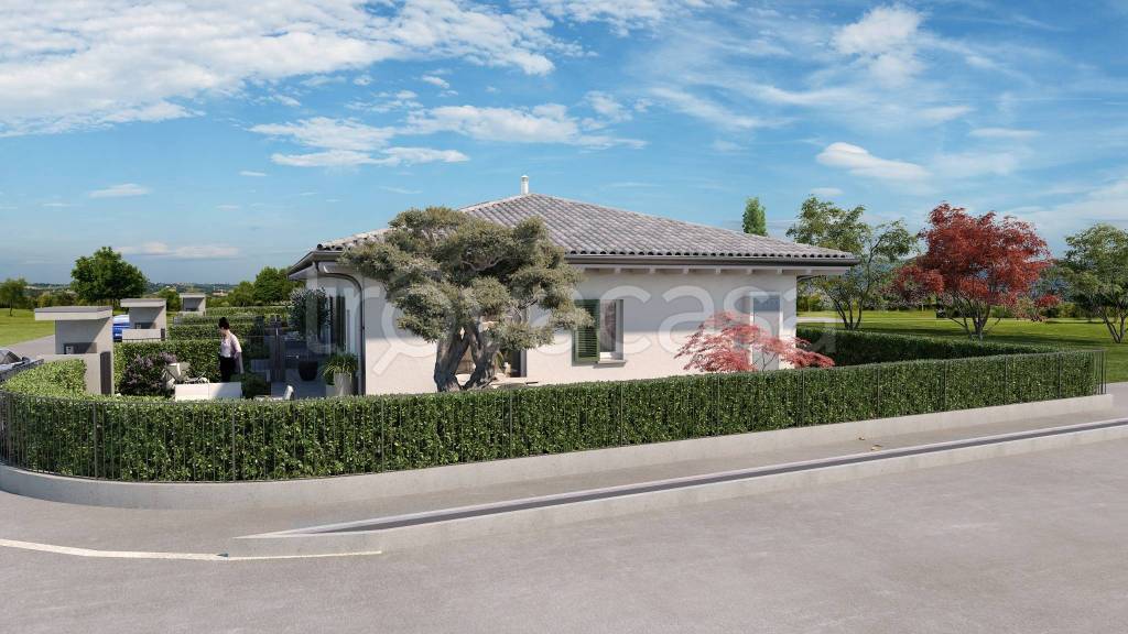 immagine annuncio 11 di 15